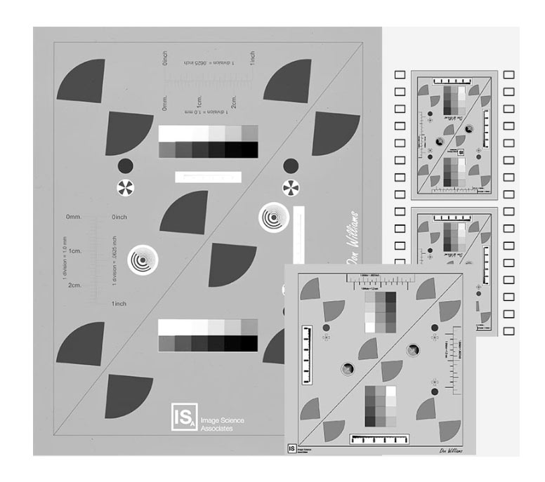 Standard Format Film Family